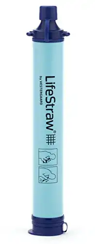 A LifeStraw Personal Water Filter