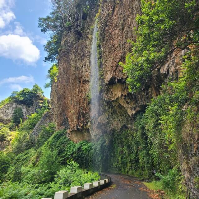 A forest road goes underneath a small waterfall 