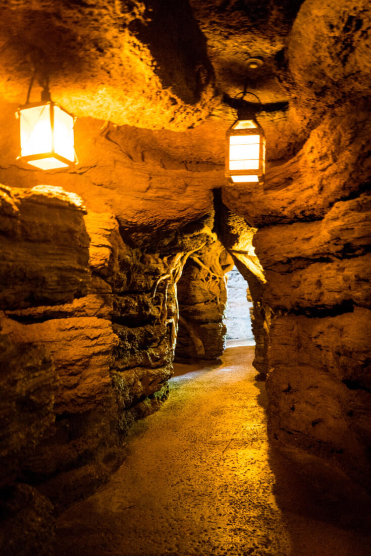 Exploring under the Swiss Family Treehouse at Disneyland Paris