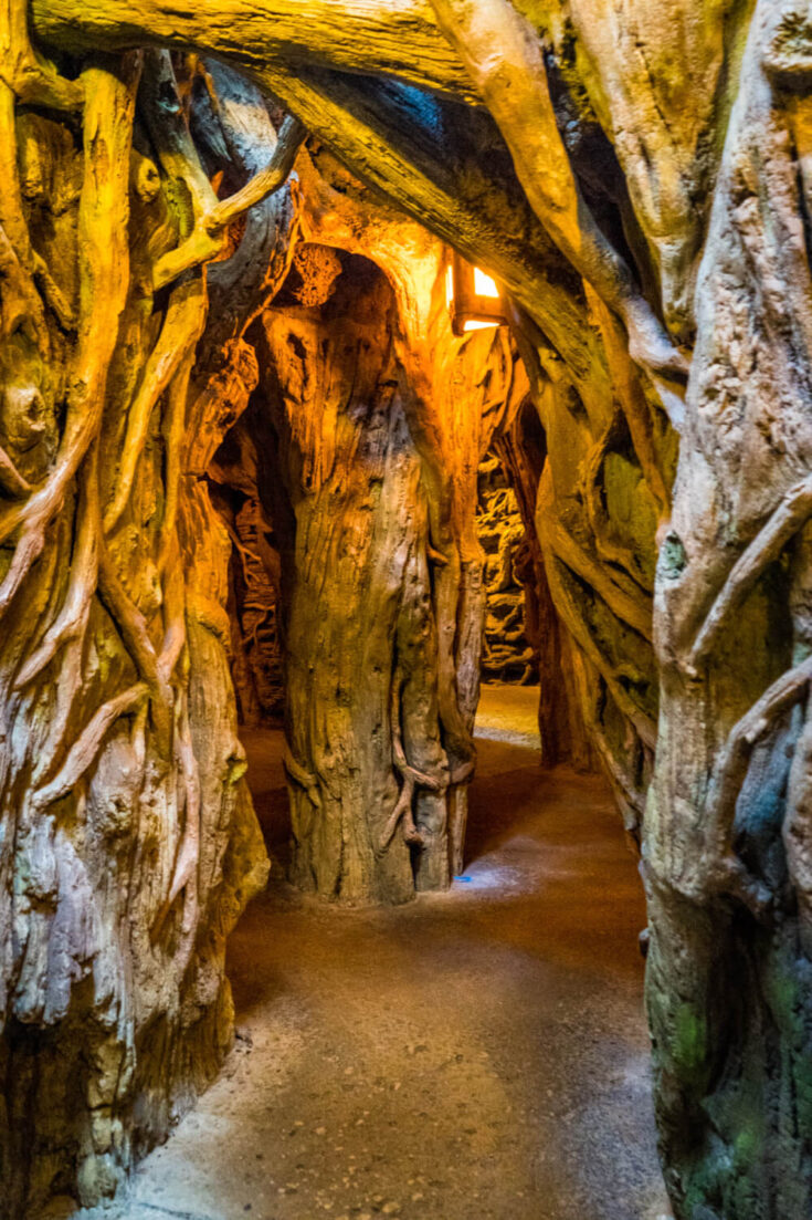 Exploring under the Swiss Family Treehouse at Disneyland Paris