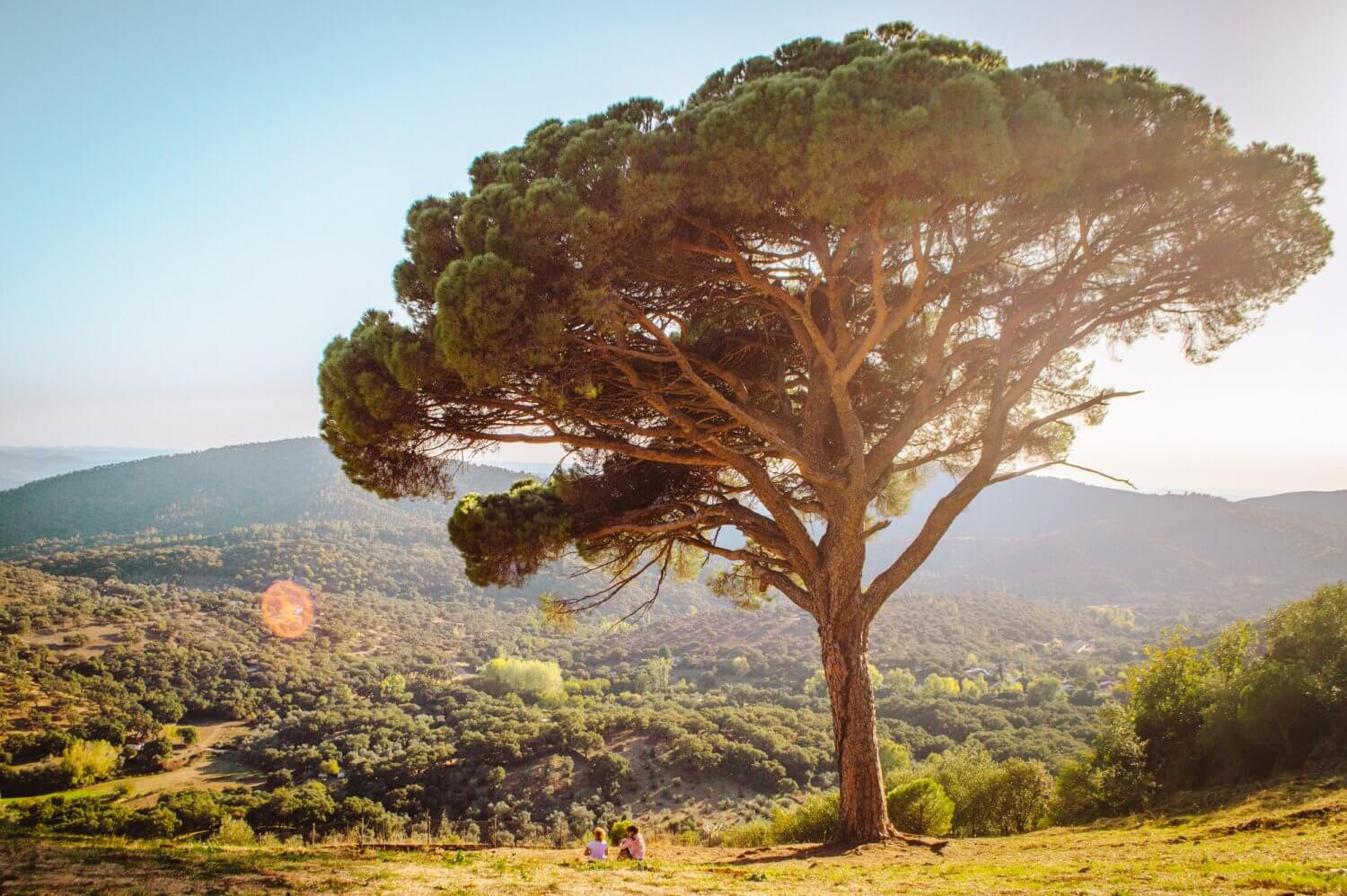 Wow, incredible photos from Sierra de Aracena, Spain, one of Andalusia's most beautiful hidden gems! #Spain #Andalucia #Travel