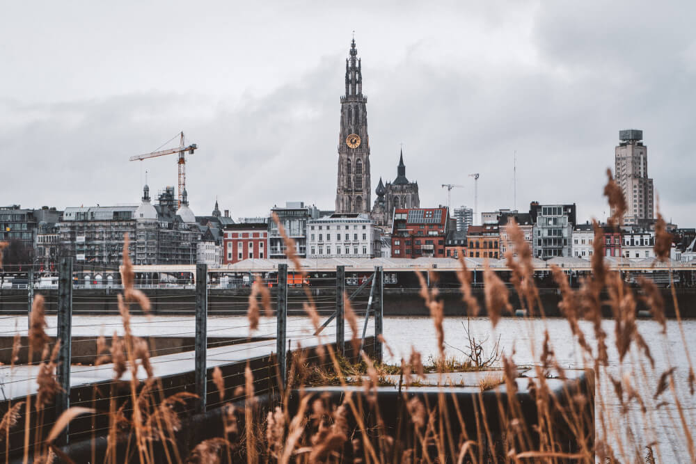 View of the Antwerp skyline from across the water