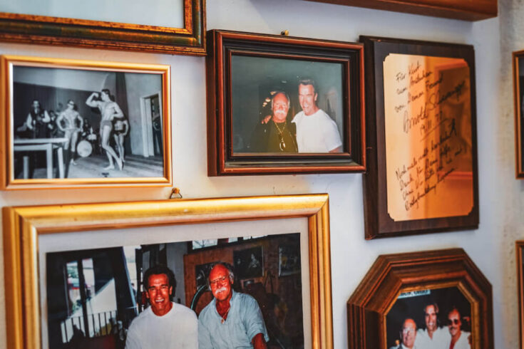 Inside the Arnold Schwarzenegger Museum near Graz: Visitor's Guide 2023