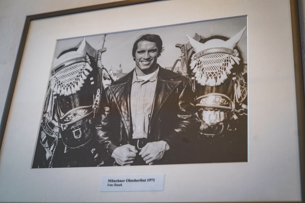 Arnold Schwarzenegger Oktoberfest photo at the Arnold Schwarzenegger Museum in Thal, Austria