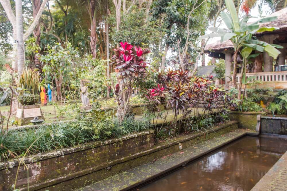 Lush pond at Agung Rai Museum of Art in Ubud