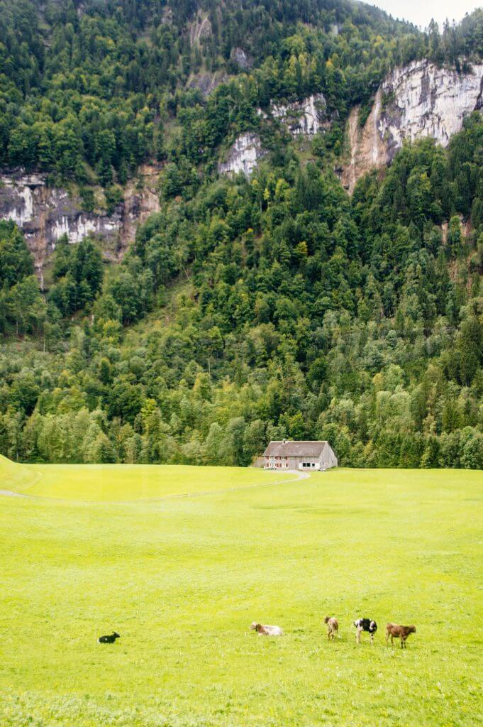 Wow! Who knew the Bregenzerwald in Austria's Vorarlberg was so gorgeous? Discover this amazing hidden gem in Austria through a series of beautiful photos. #Austria