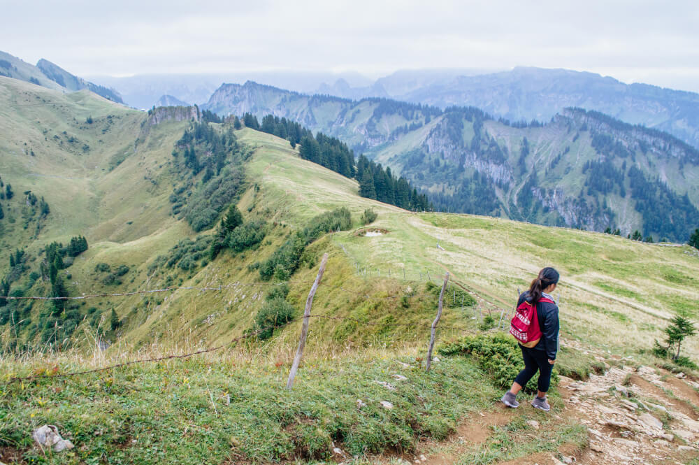 austrian phrases for travel