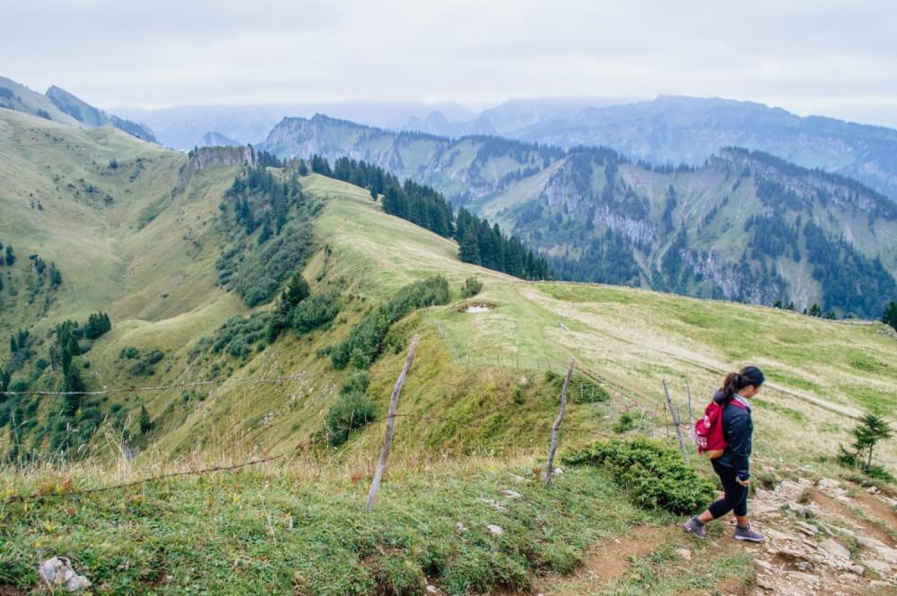 Wow! Who knew the Bregenzerwald in Austria's Vorarlberg was so gorgeous? Discover this amazing hidden gem in Austria through a series of beautiful photos. #Austria