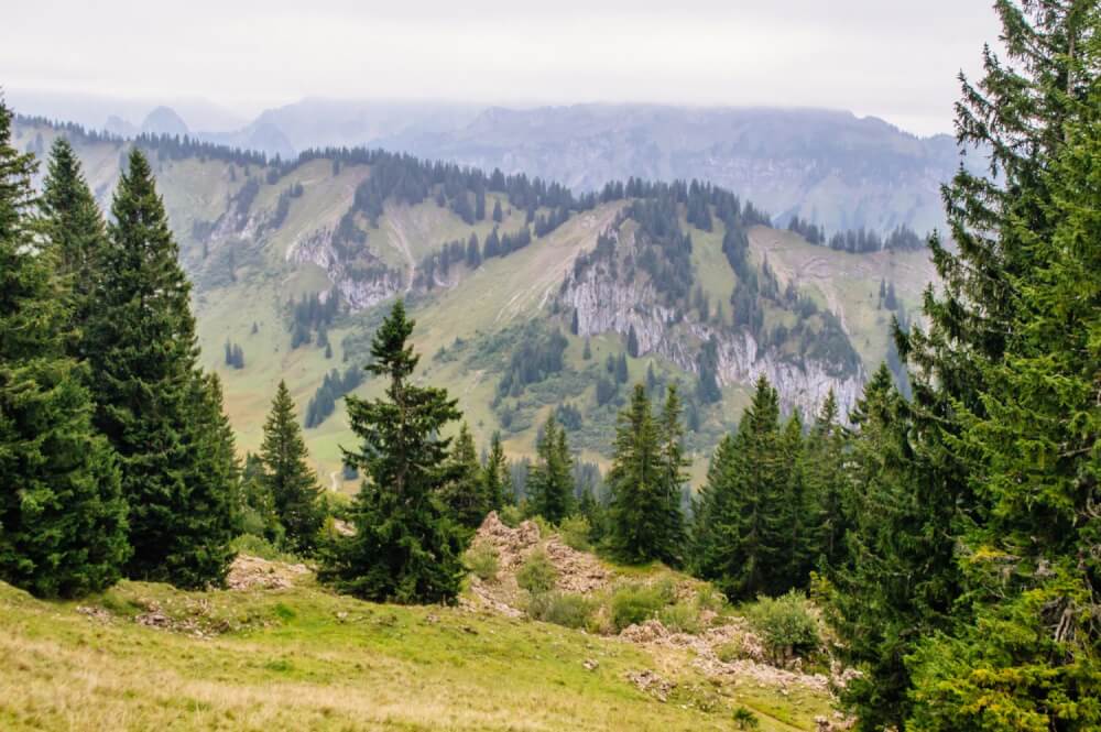 Wow! Who knew the Bregenzerwald in Austria's Vorarlberg was so gorgeous? Discover this amazing hidden gem in Austria through a series of beautiful photos. #Austria