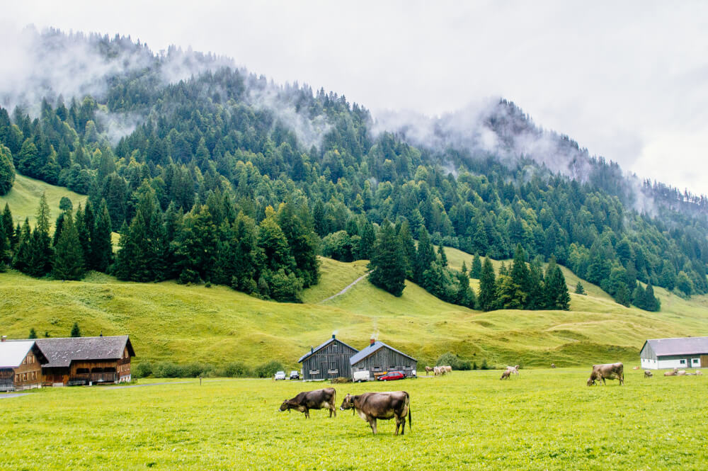 austria travel conditions