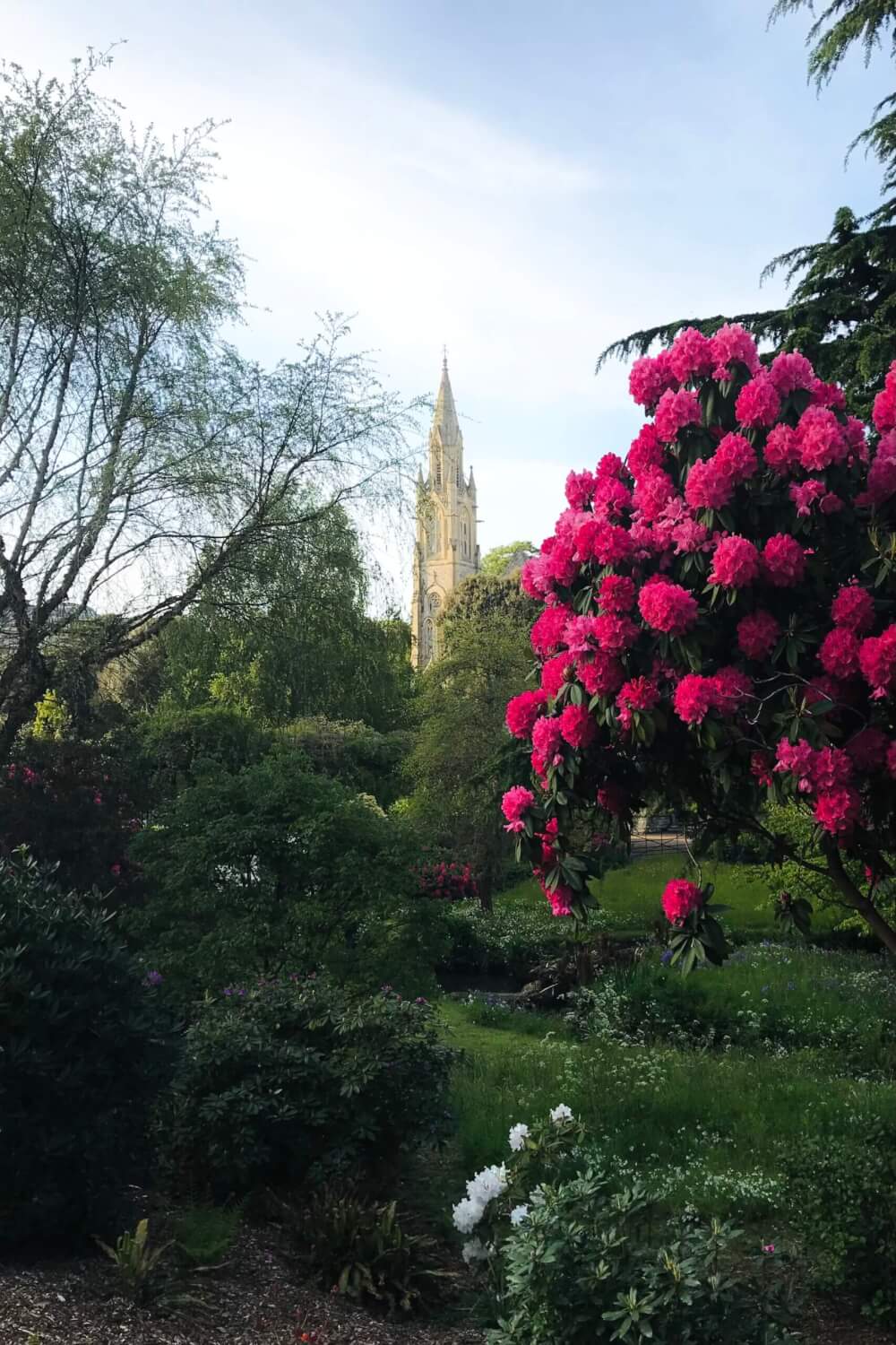 gardens to visit bournemouth area