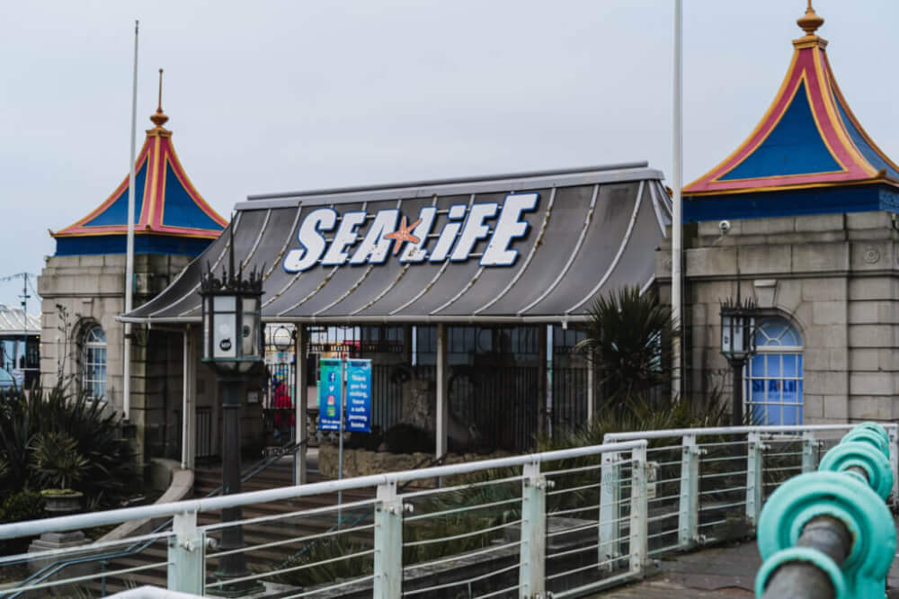 tourist information brighton