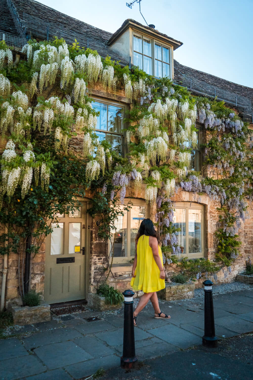 Beautiful white and purple wisteria in the Cotswolds.