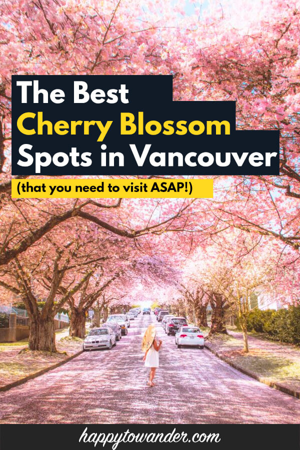 Vancouver Cherry Blossom Festival, Top 10 Places To See the Cherry Blossom in Vancouver 2021