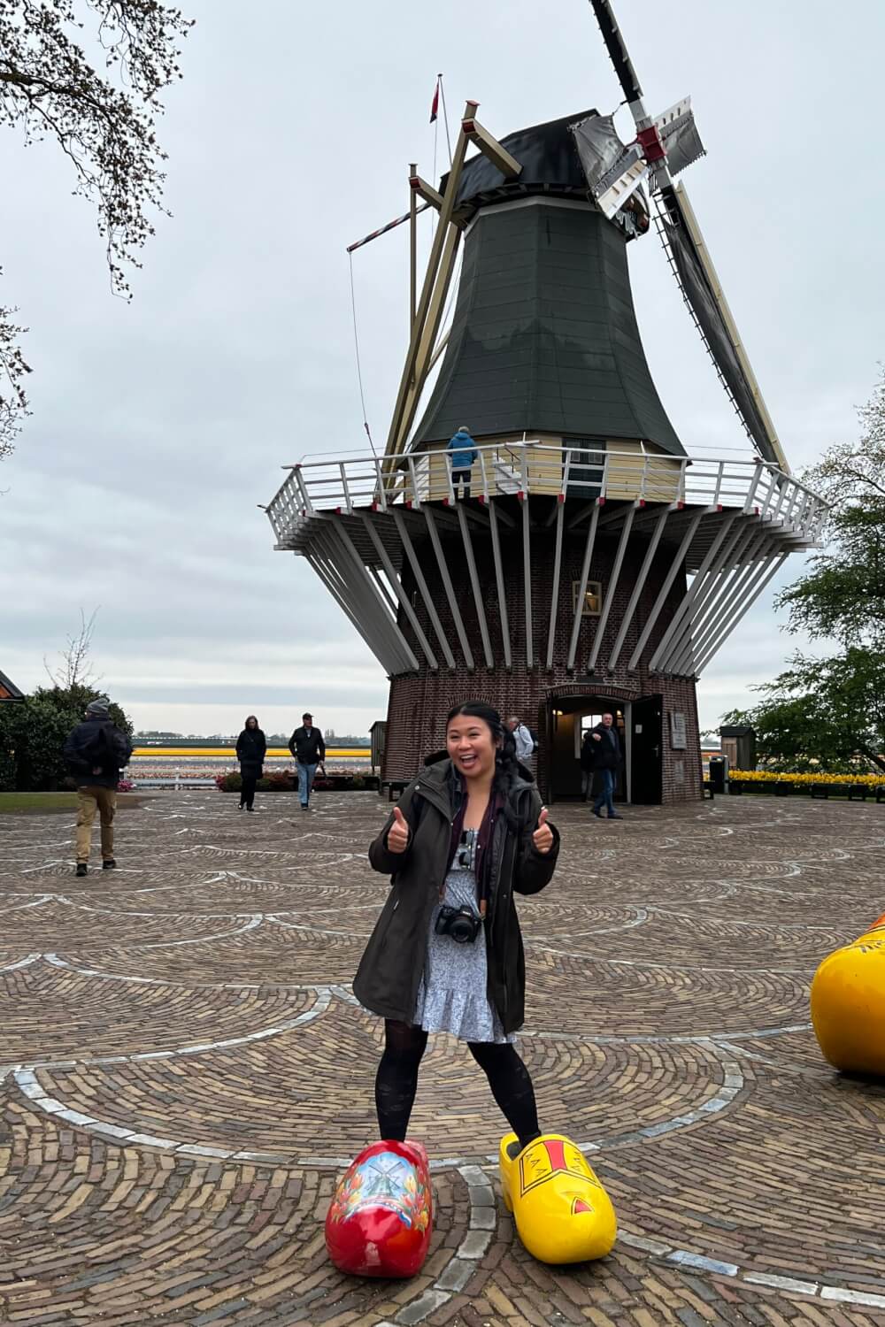 travel guide to holland