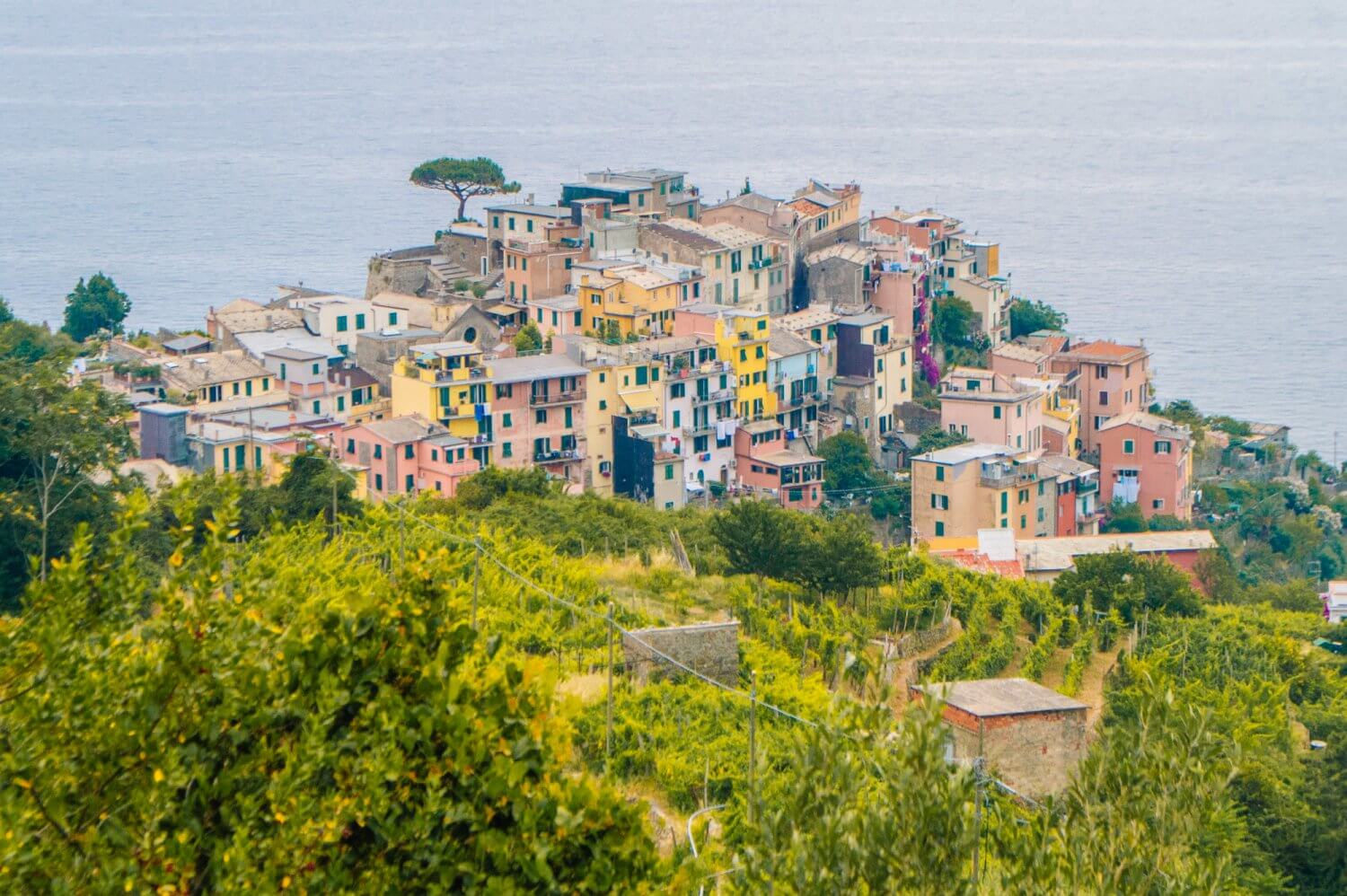 WOW - amazing photo guide to Cinque Terre, Italy, one of the most beautiful places in the world. If you are planning a trip to Italy or plan to travel to Cinque Terre, you need to see these incredible photos! #italy #cinqueterre