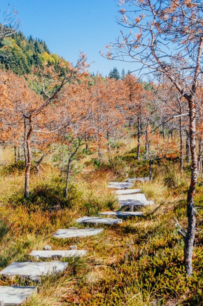 10 Things to do in Covasna County, Romania (and Why You Should Visit!)