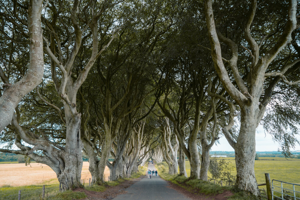 game of thrones northern ireland tourism