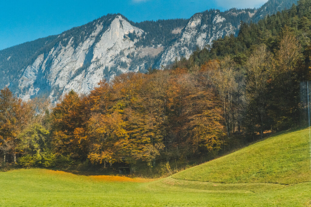 Mountains and trees train view from Munich to Berchtesgaden