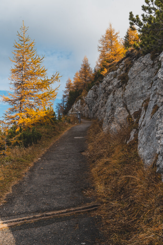 Mountain path in Berchtesgaden surrounded by Fall foliage
