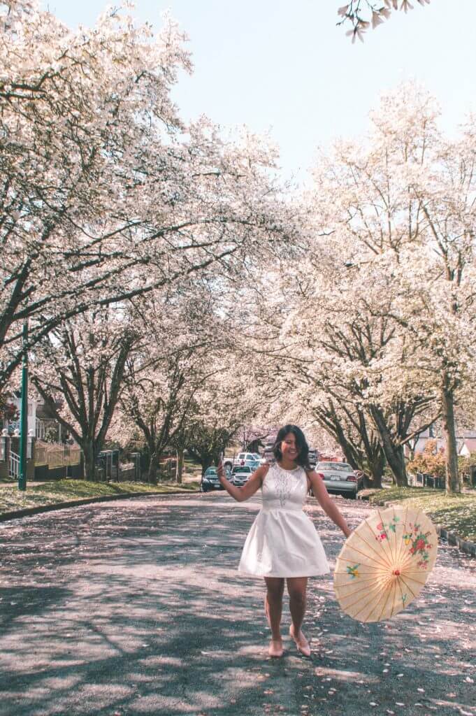 An epic guide on the most gorgeous places to photograph cherry blossoms in Vancouver this year! #Vancouver #CherryBlossoms #Canada #Travel