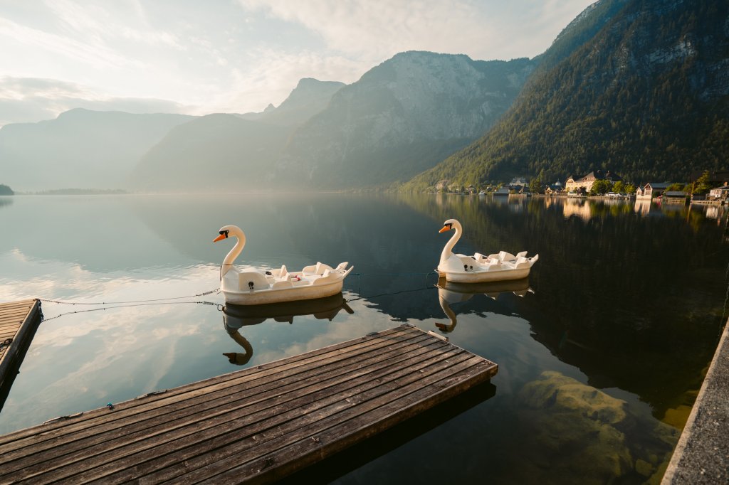 Swan boats along a peaceful lake in Hallstatt, Austria.