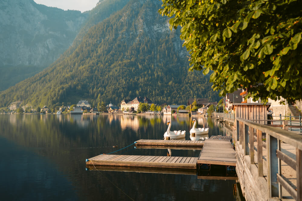 Swan boats along the lake in Hallstatt, Austria.