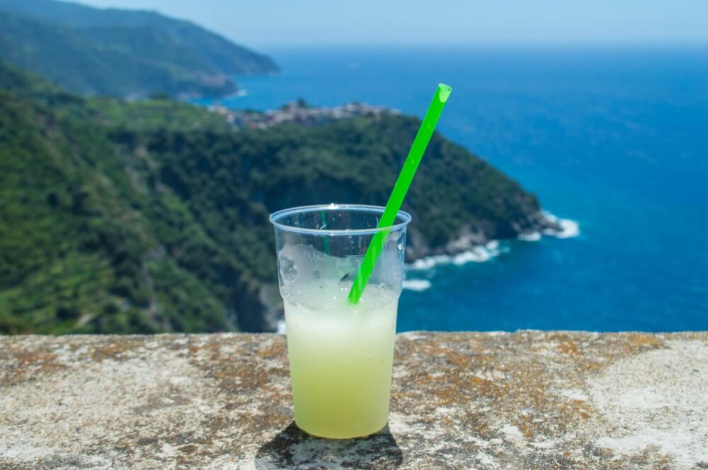 Wow-nejlepší Cinque Terre, Itálie průvodce tam! Rekapituluje všechny důležité must-dos během návštěvy Cinque Terre. Nenechte si ujít, pokud plánujete cestovat do Itálie. #Itálie #CinqueTerre #Wanderlust't miss this if you're planning on travelling to Italy. #Italy #CinqueTerre #Wanderlust