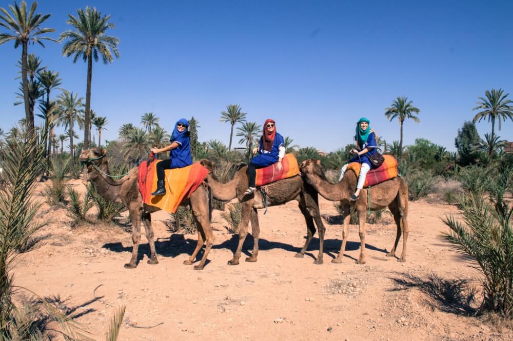 Camel riding in Morocco