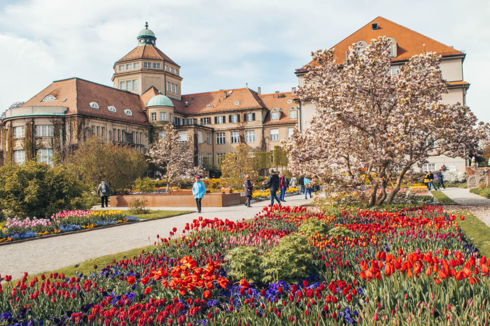 day trip itinerary munich