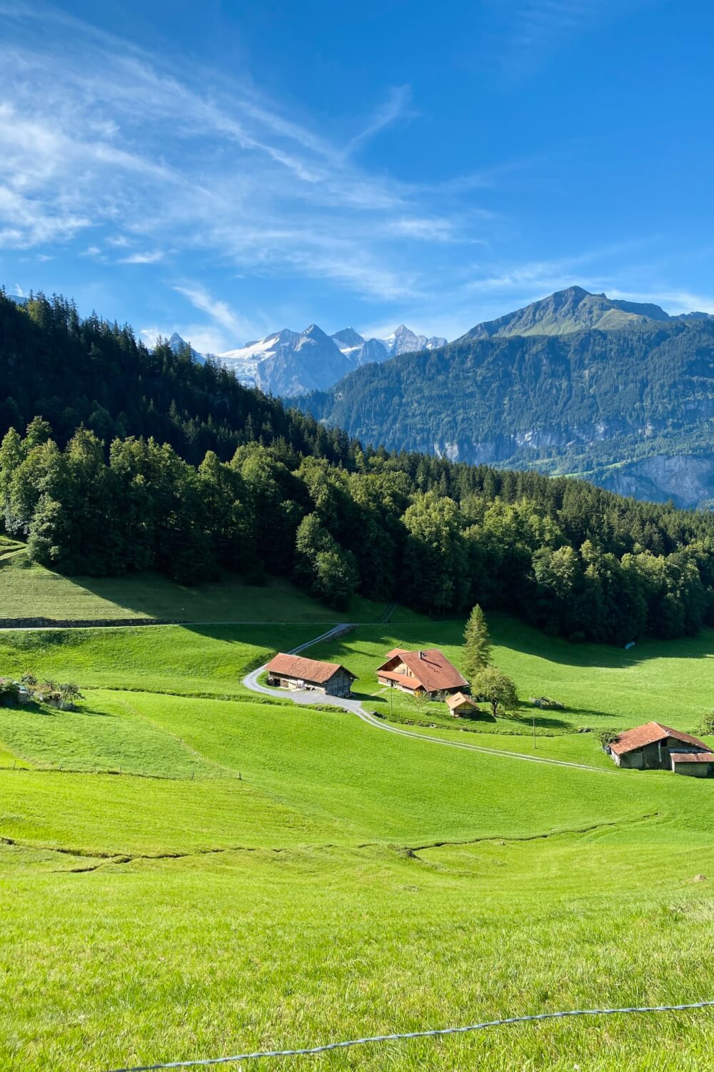 meiringen tourist