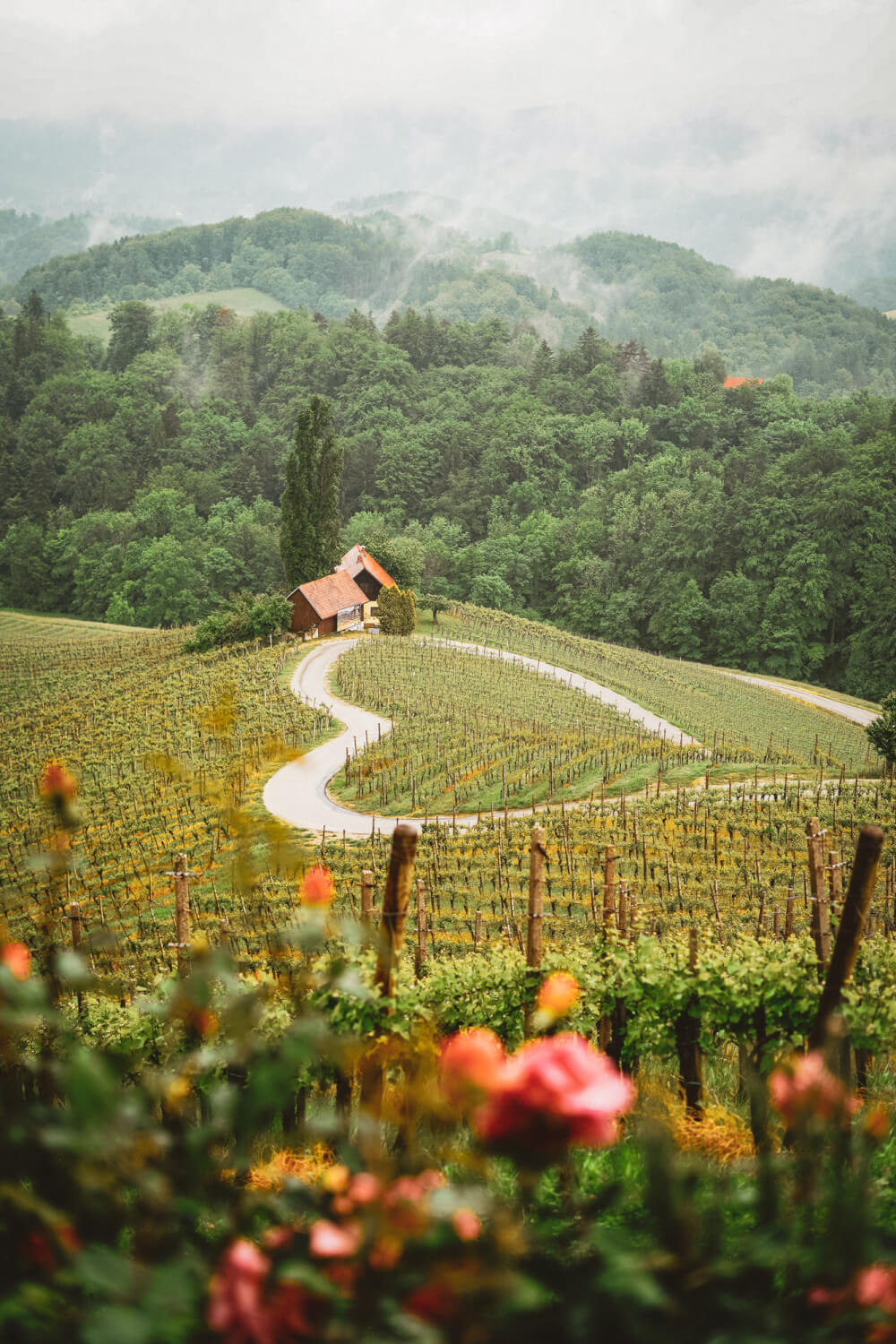 Slovenian heart shaped road