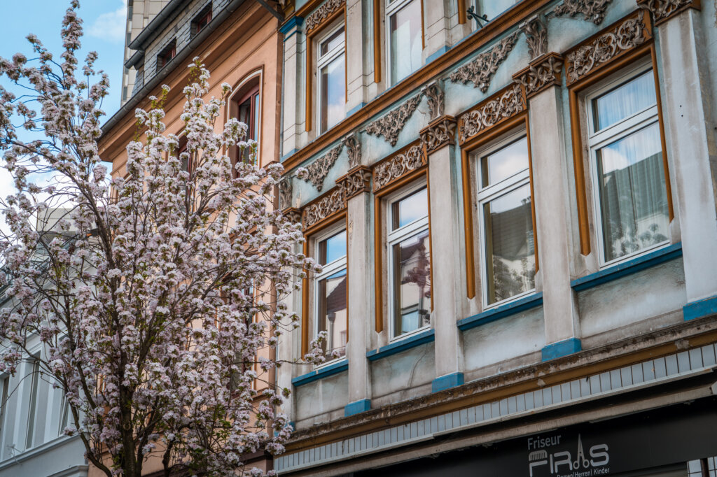 Where To Find Cherry Blossoms In Bonn Germany Photo Spots Tips More