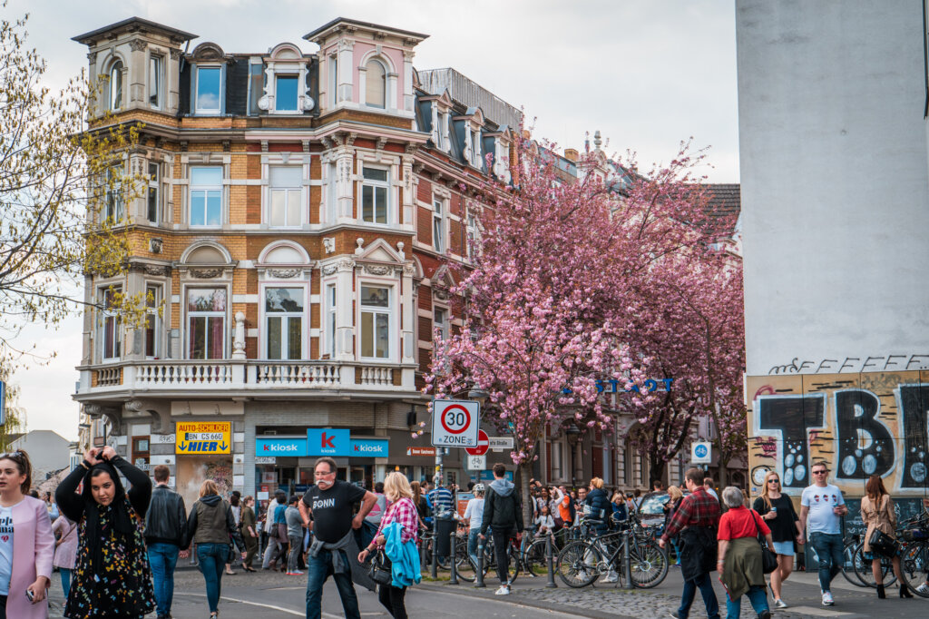 Crowds in front of a street filled with cherry blossom trees in Bonn, Germany