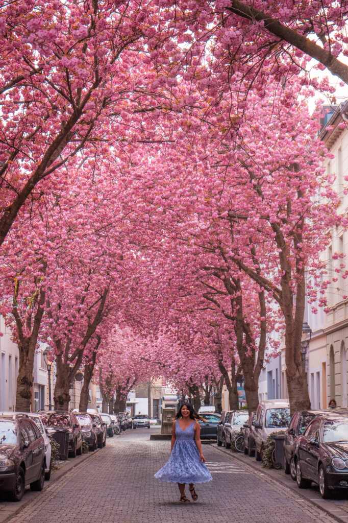 Girl twirling in purple dress by cherry blossom trees on Heerstrasse in Bonn, Germany