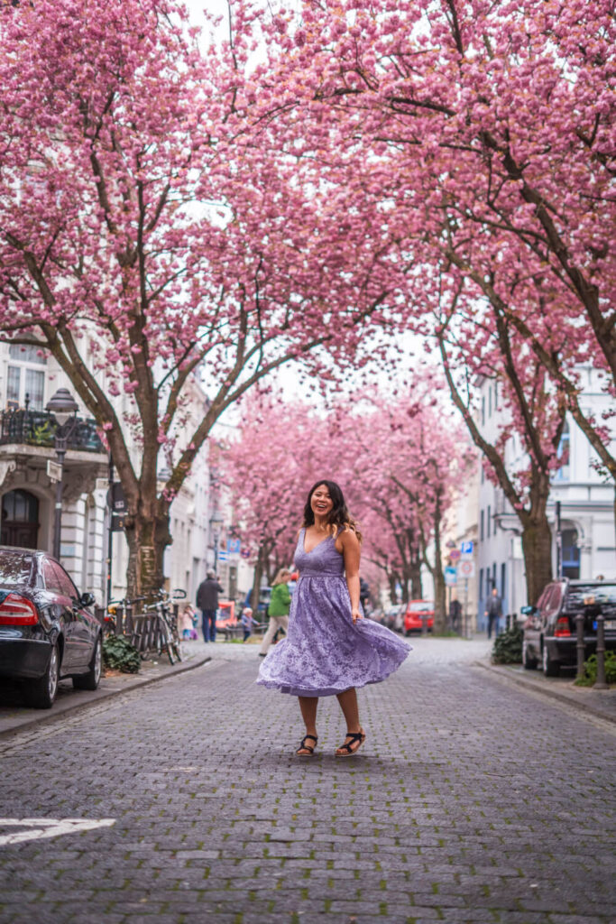 Girl in purple dress twirling on a cherry blossom filled street in Bonn, Germany