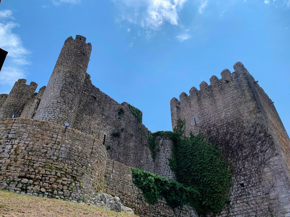 A medieval castle from the outside, with ivy growing along the towers. 