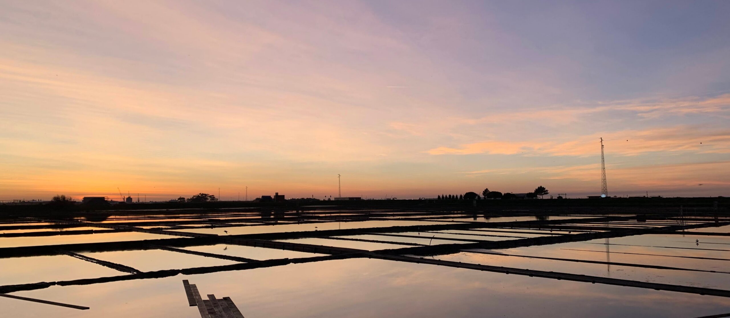 Rows of square water-filled puddles at sunset