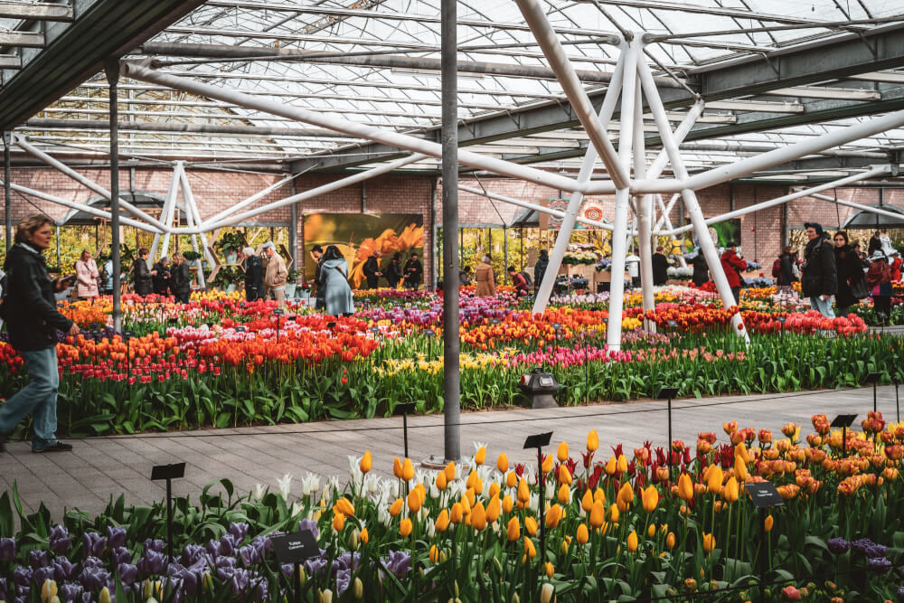 visit keukenhof online