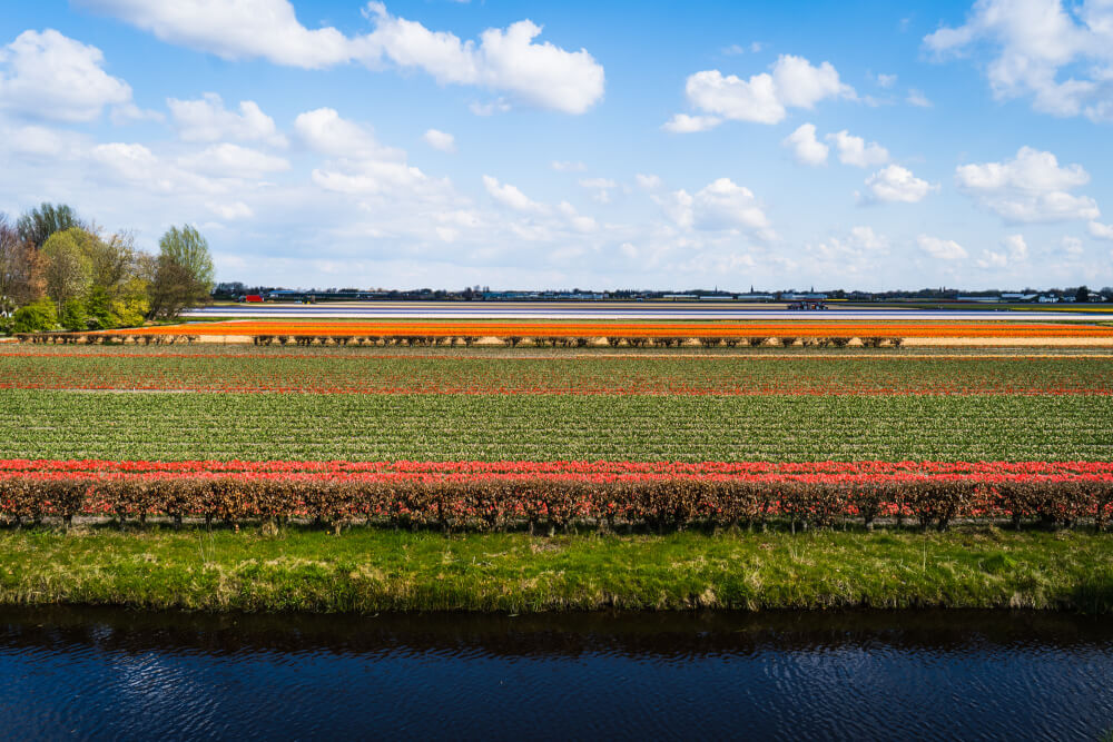 trip from amsterdam to keukenhof