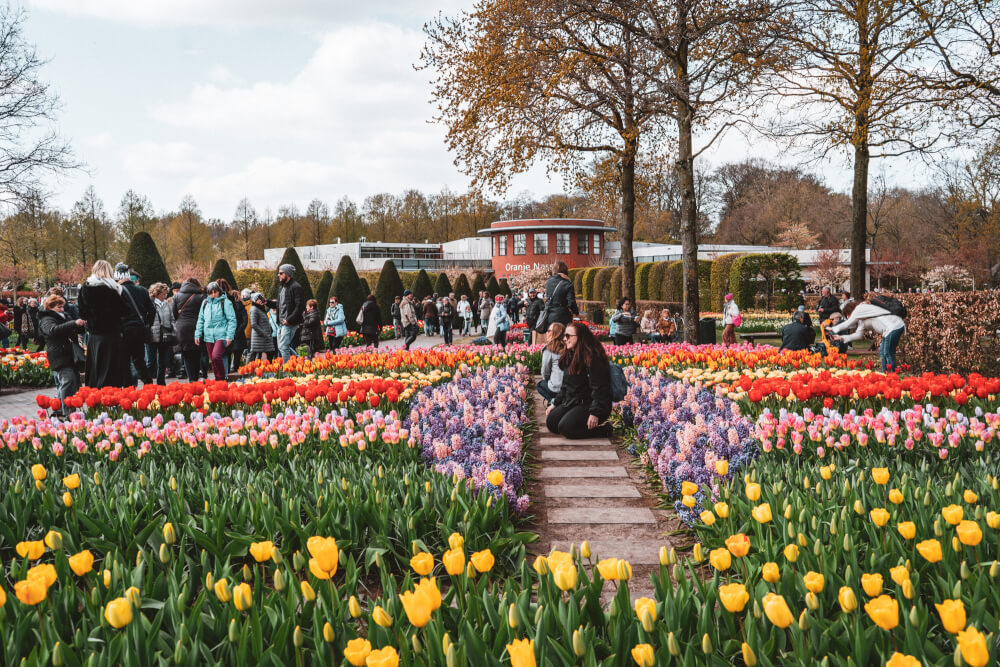 trip from amsterdam to keukenhof