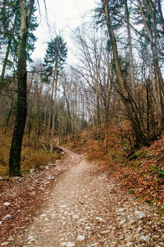 How to get the BEST view of Lake Bled, Slovenia at sunrise. This guide shows you how to hike to this gorgeous viewpoint of Lake Bled and gives you practical advice on how to find the trail head and more!