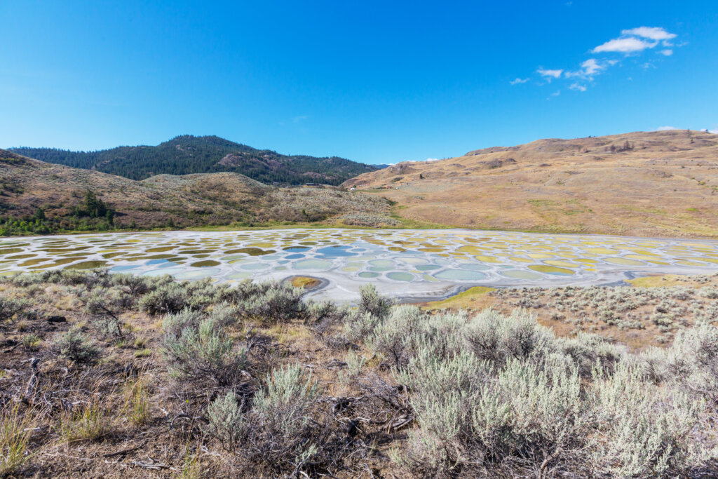 Polka dotted lake with blue and yellow spots in Osoyoos, BC, Canada