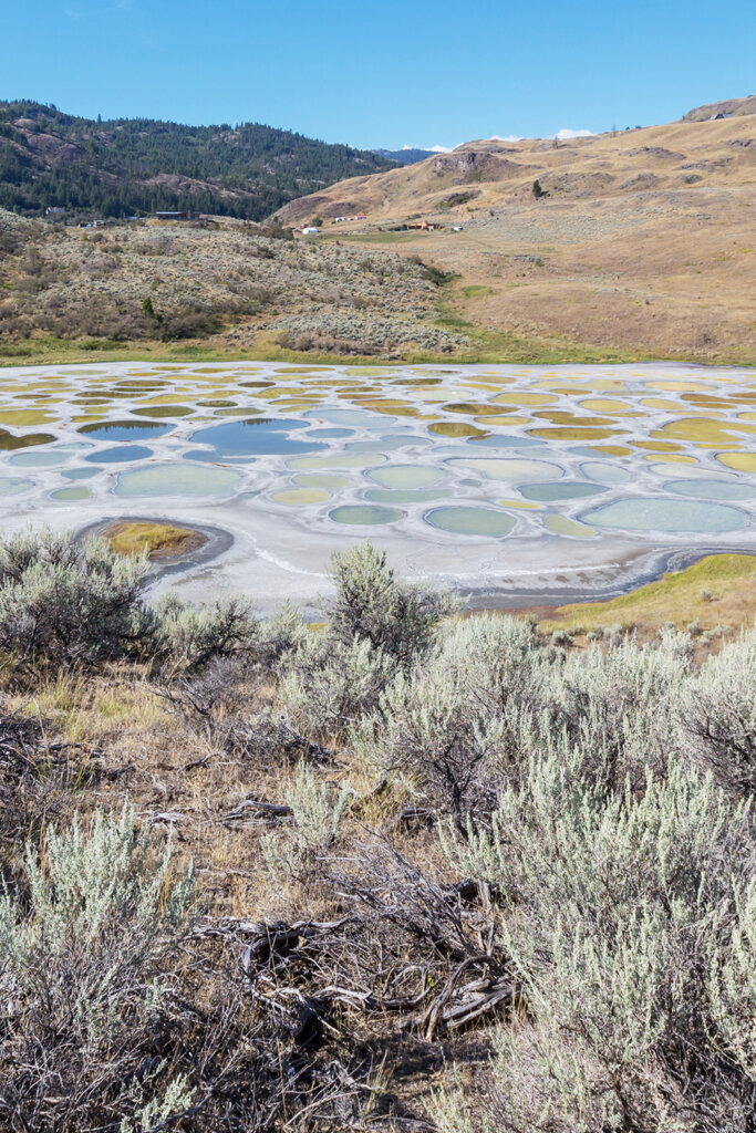 Polka dotted lake with blue and yellow spots in Osoyoos, BC, Canada