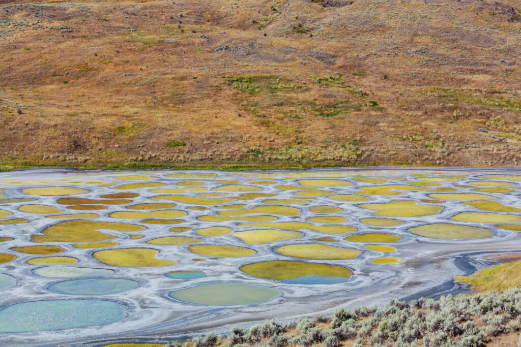 Polka dotted lake with blue and yellow spots in Osoyoos, BC, Canada