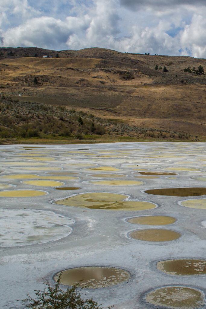 Polka dotted lake with blue and yellow spots in Osoyoos, BC, Canada