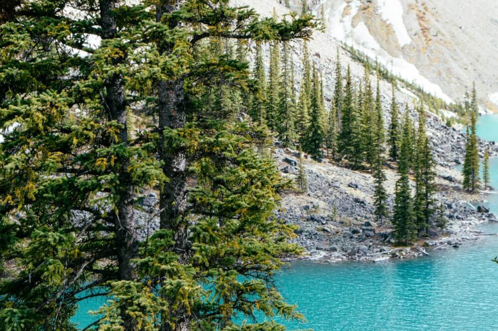 Absolutely stunning set of photos from Banff National Park in Alberta, Canada! These photo guide to Banff will have you booking a ticket immediately. Includes photos of Lake Louise, Lake Moraine, Peyto Lake and more. #Alberta #Canada #LakeLouise #PeytoLake #MoraineLake