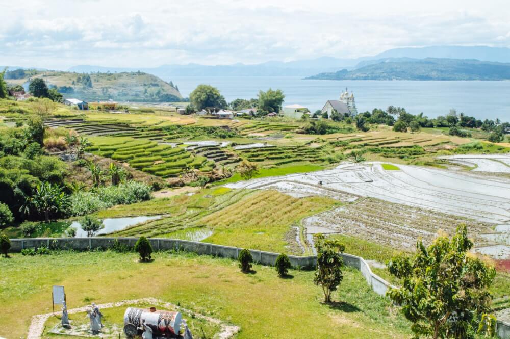 View of rice paddies in Lake Toba