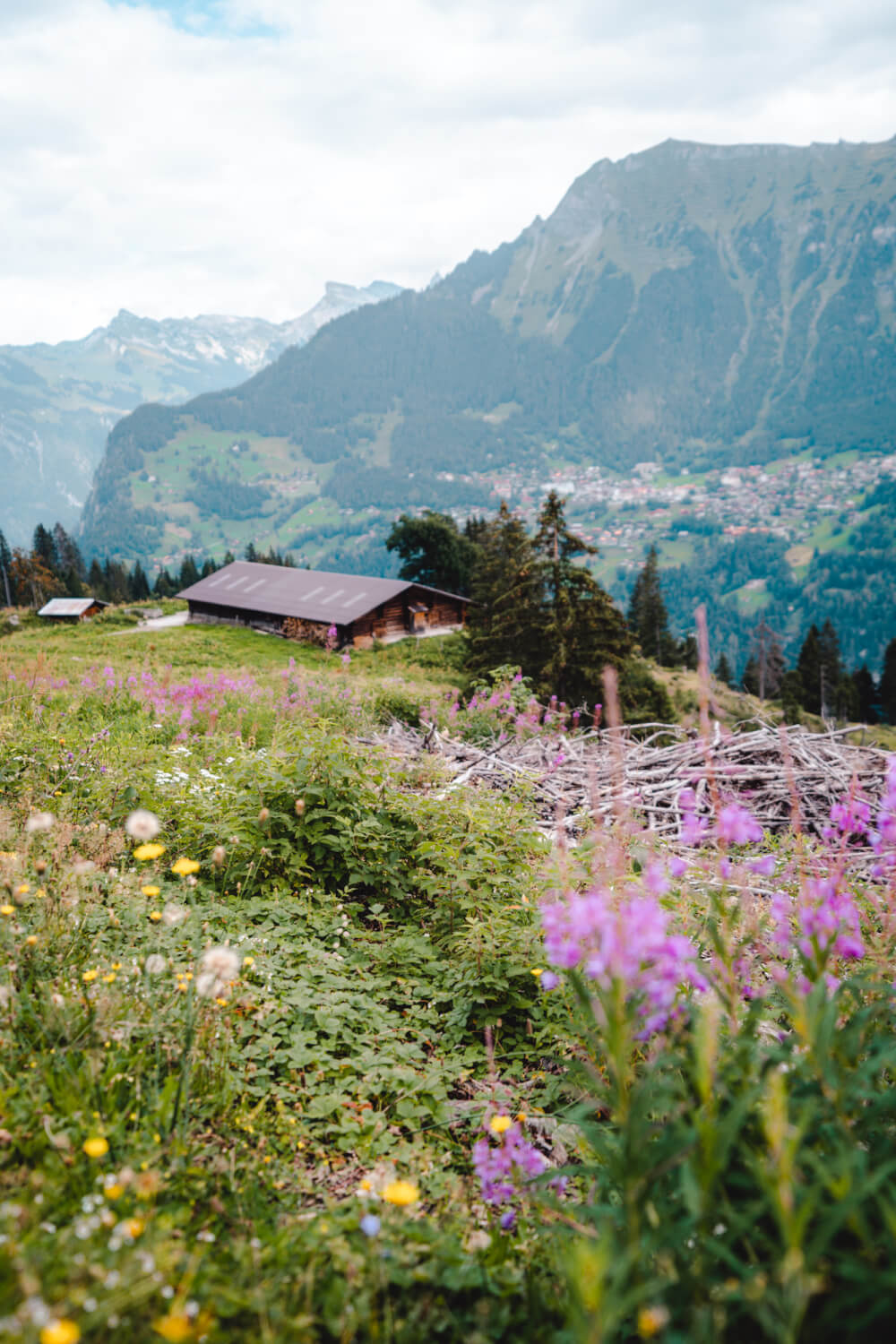 A view over Lauterbrunnen Valley hiking to Mürren.