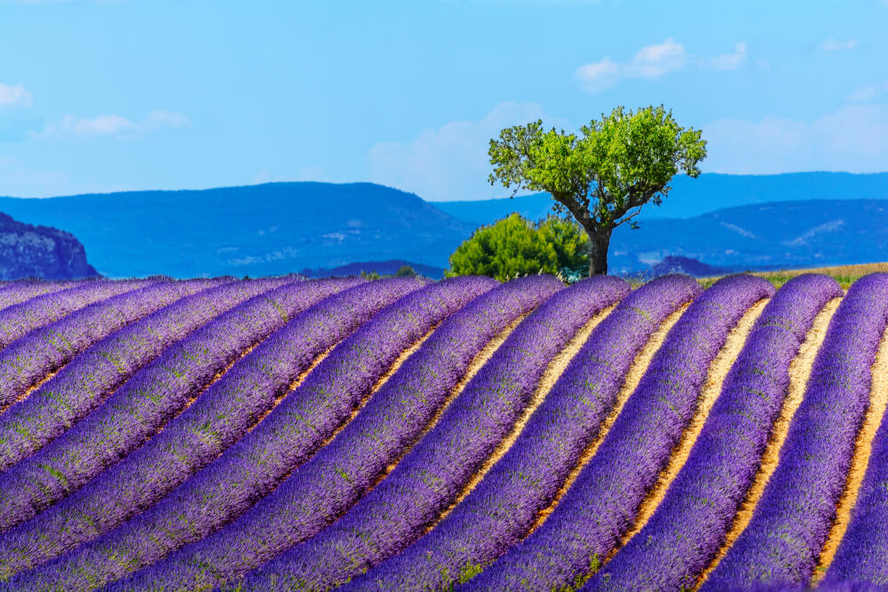 tourist attractions in france outside of paris